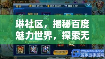 琳社区，揭秘百度魅力世界，探索无限精彩内容