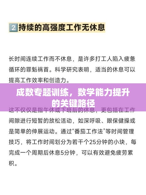 成数专题训练，数学能力提升的关键路径