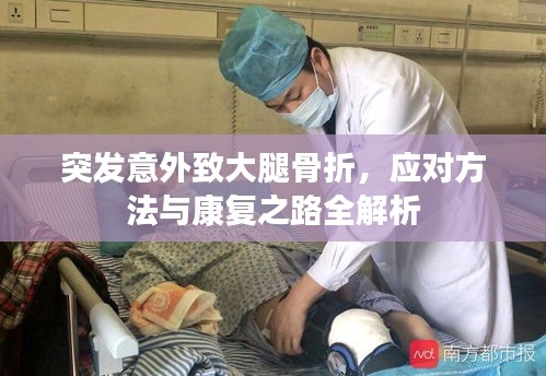 突发意外致大腿骨折，应对方法与康复之路全解析