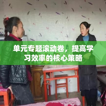 单元专题滚动卷，提高学习效率的核心策略