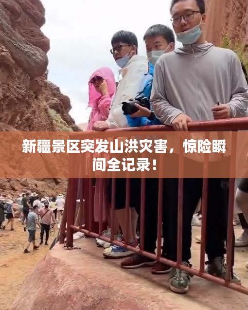 逸兴遄飞