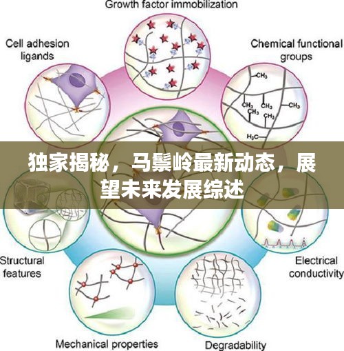 独家揭秘，马鬃岭最新动态，展望未来发展综述