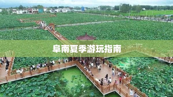 阜南夏季游玩指南