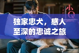 容光焕发