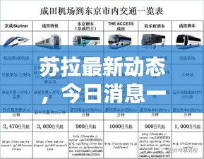 阳春白雪