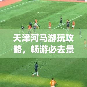 天津河马游玩攻略，畅游必去景点，体验精彩之旅！