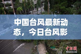 中国台风最新动态，今日台风影响及最新图片报道
