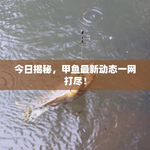 寥寥无几