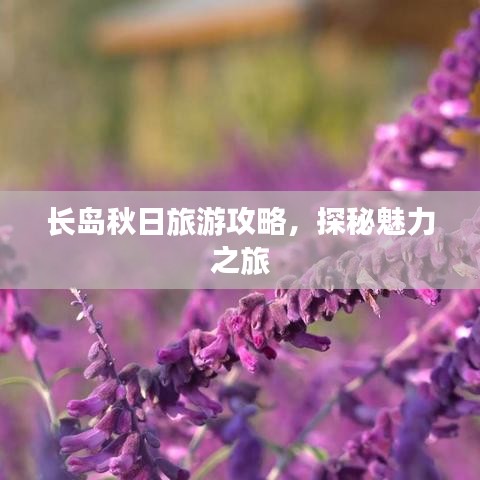 长岛秋日旅游攻略，探秘魅力之旅