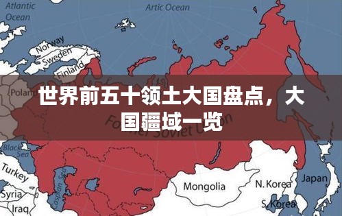 伤弓之鸟