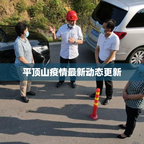 鸟革翬飞