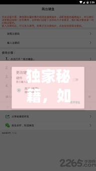 独家秘籍，如何设置按键皮肤，个性化键盘外观大揭秘！