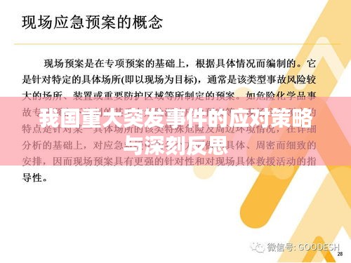 我国重大突发事件的应对策略与深刻反思