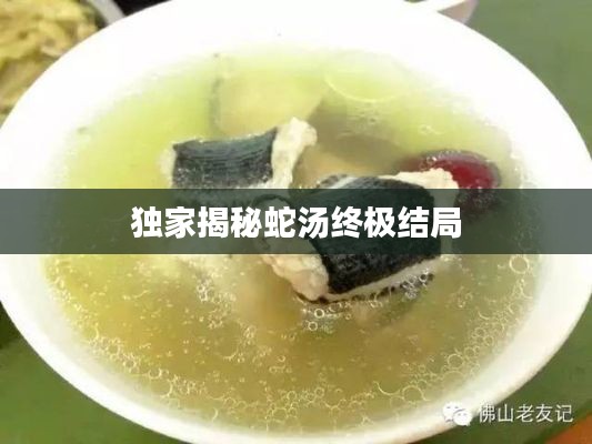 独家揭秘蛇汤终极结局