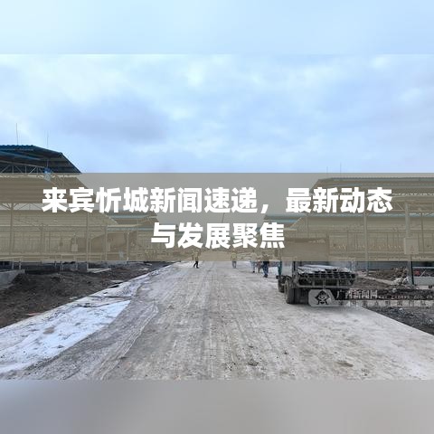 来宾忻城新闻速递，最新动态与发展聚焦
