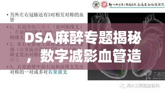 DSA麻醉专题揭秘，数字减影血管造影术中的麻醉技术应用深度探讨