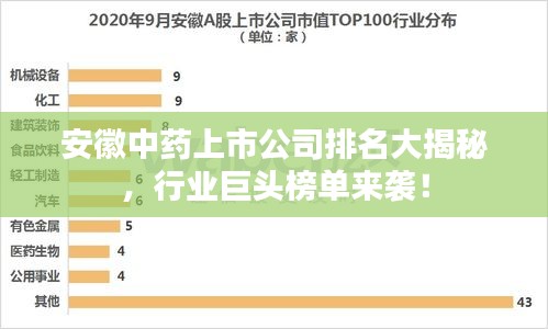 鸟飞兔走
