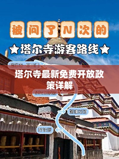 飞燕化龙