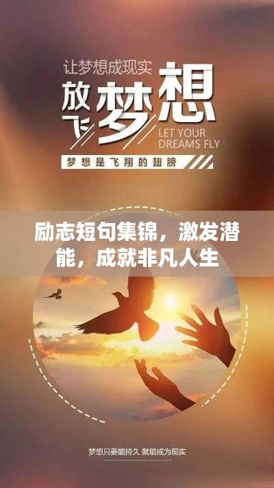 一丝不苟