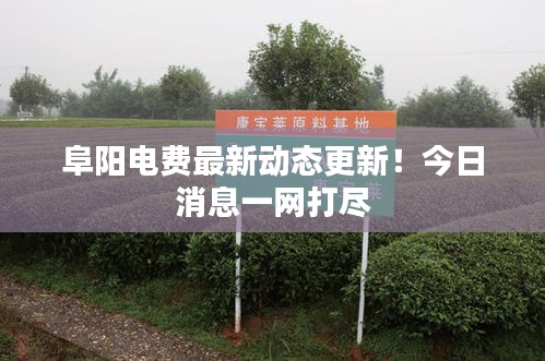 羊肠鸟道