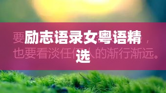 张弓挟矢