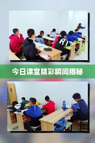 鸢飞戾天