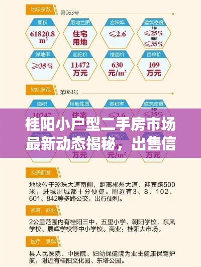 桂阳小户型二手房市场最新动态揭秘，出售信息全面汇总