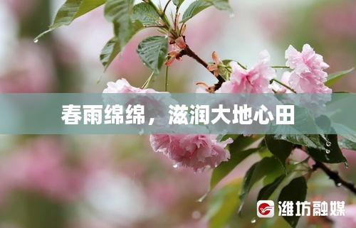 老死不相往来