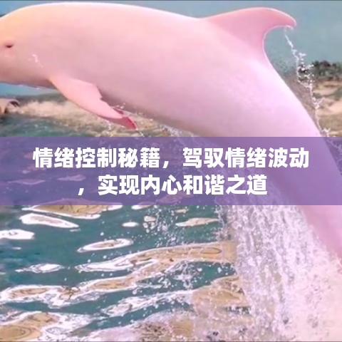 情绪控制秘籍，驾驭情绪波动，实现内心和谐之道