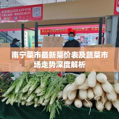 南宁菜市最新菜价表及蔬菜市场走势深度解析