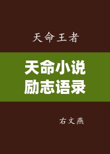 天命小说励志语录，激发无限潜能的短句精选