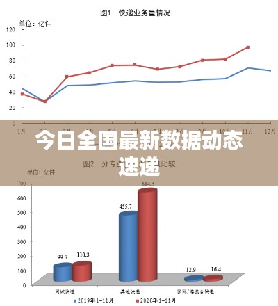 坌鸟先飞