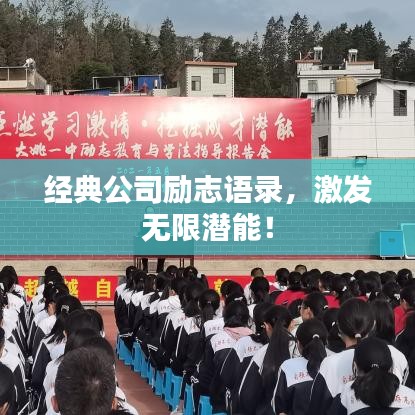 寒蝉僵鸟