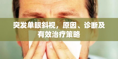 地老天荒