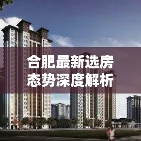 合肥最新选房态势深度解析