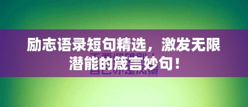 独学寡闻