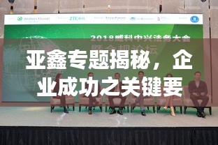 亚鑫专题揭秘，企业成功之关键要素探索