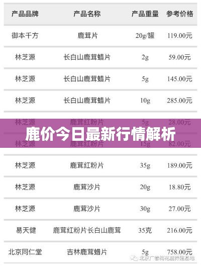 夸夸其谈