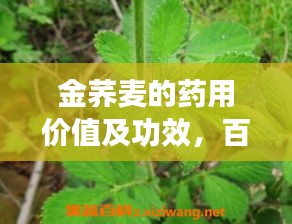 2025年5月3日 第3页