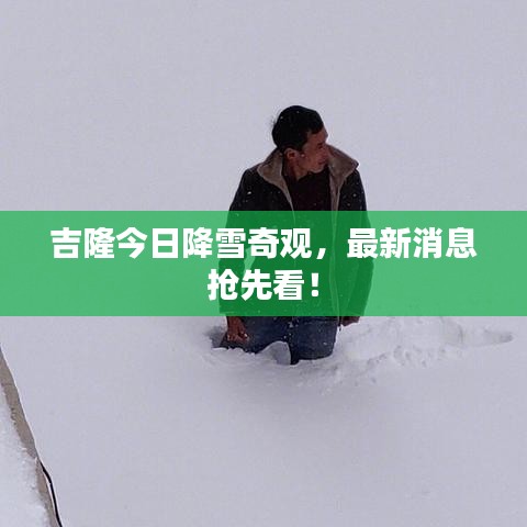 夭桃秾李