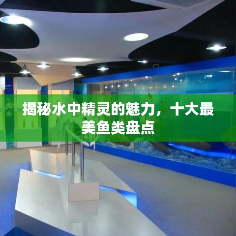 2025年5月10日