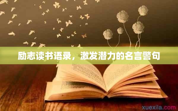 虫言鸟迹
