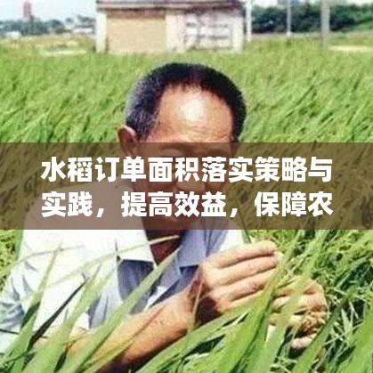 箪瓢陋巷