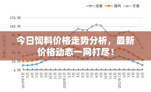 今日饲料价格走势分析，最新价格动态一网打尽！