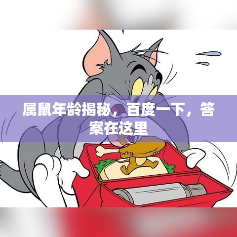 属鼠年龄揭秘，百度一下，答案在这里