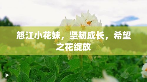2025年6月15日