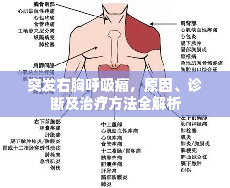 突发右胸呼吸痛,原因、诊断及治疗方法全解析