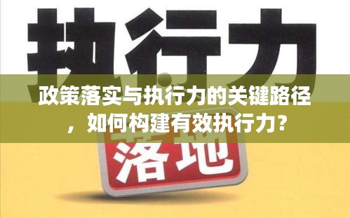 政策落实与执行力的关键路径，如何构建有效执行力？